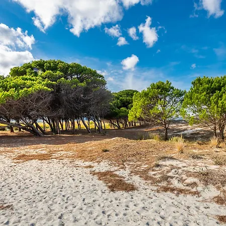 Pompia-4 By Interhome * Santa Lucia (Sardinia)